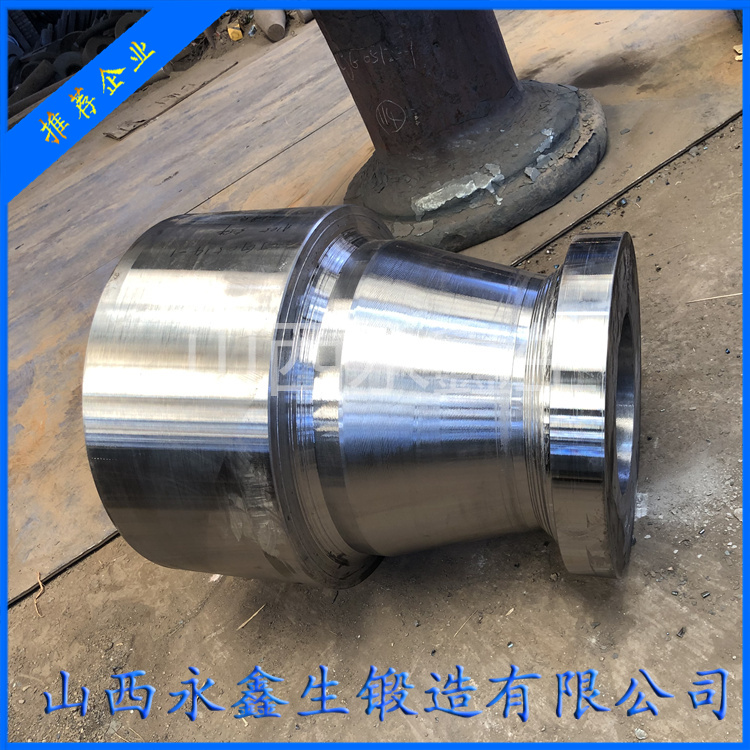 S20100不銹鋼鍛件